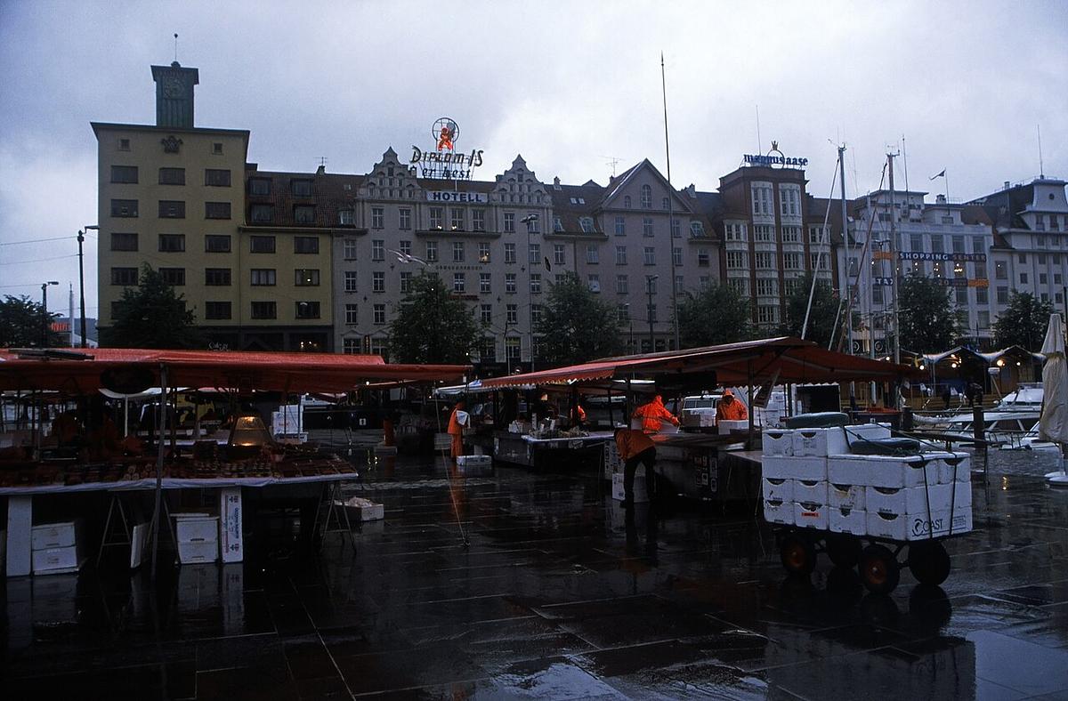 Blåskjell i hvitvin